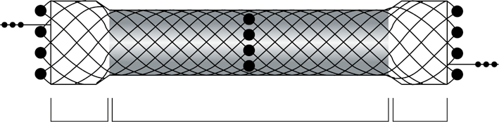 Stent Diameter